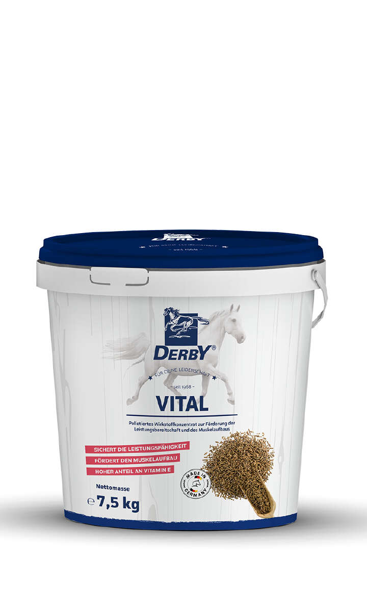 DERBY Vital DERBY Vital